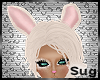 Sug* Bunny Love Ears V2