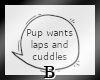 Laps and Cuddles