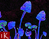 !1K Mystical Shrooms