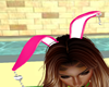 FG~ Bunny Ears Hot Pink