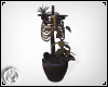 Witch Plants Skeleton
