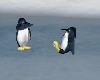 Playing PENQUINS