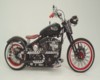 AH! Harley Picture 8