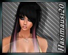 [HM]Wiki Black rose