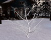 Winter Tree 1