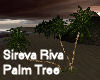 Sireva Riva Palm Tree