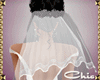 C| Eleganza Wedding Veil