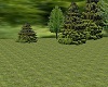 picnic area