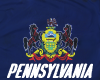 Pennsylvania State Flag