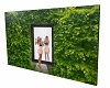 Garden Mirrored Image