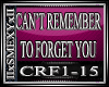 Cant Remember 2 forget u