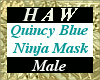 Quincy Blue Ninja Mask