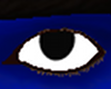 Cookie Monster Eyes