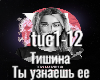 Tishina-Ty uznaesh' ee