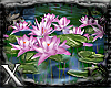 *X* Lotus Flowers