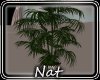 NT Wedding  Planter