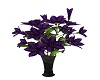 C.A. Purple Flowers