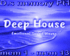 D.s memory  Pt1