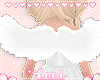 Kids Angel Wings