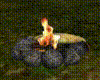 Campfire w Fish