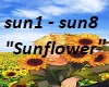 "Sunflower" PM,SL