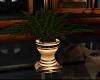 (SR) plant and vase