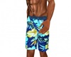 Coco Beach Shorts