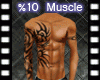 10% SCALER MUSCLE der