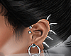 P & S Earring
