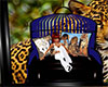 Wild Cat SWing