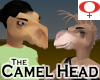 Camel Head -Female