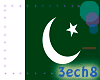 Pakistan Flag Animated