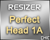 !T! Perfect Head 1A