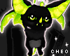 𝓒.HALLOWEEN pet bat f