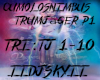(Sky)p1 Traum tri tj1-10