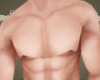 ST*Perfect Chest M