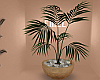 RN Deco Plant
