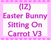 Easter Bunny Sit Carrot3