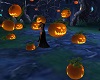BMM Pumpkin PatchAnimate