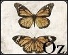 [Oz] - Pict Butterfly 4