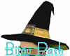 Wee Witch Hat: Golds