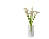 ! NEW Lily Vase