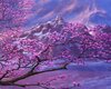 blossom landscape
