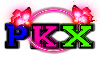 {PKX} Pink Shorts