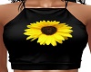 Sunflower Patch Top