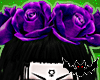   Head roses violet
