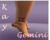 *Kay* Gemini Ankle tat