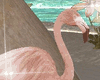 Flamango Peach