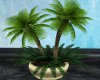 (S) Gold Potted Palm