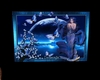 youtube papillon